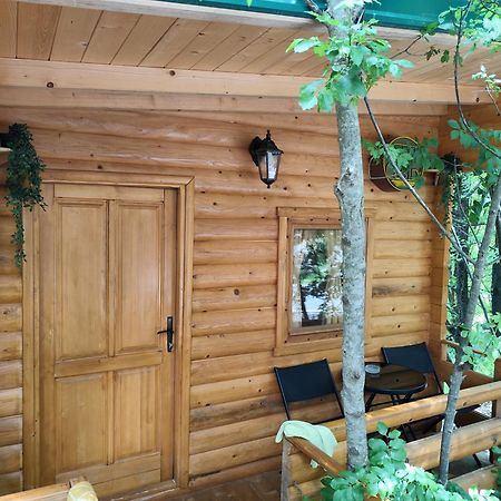 Still Cabin Cetinje Exterior foto